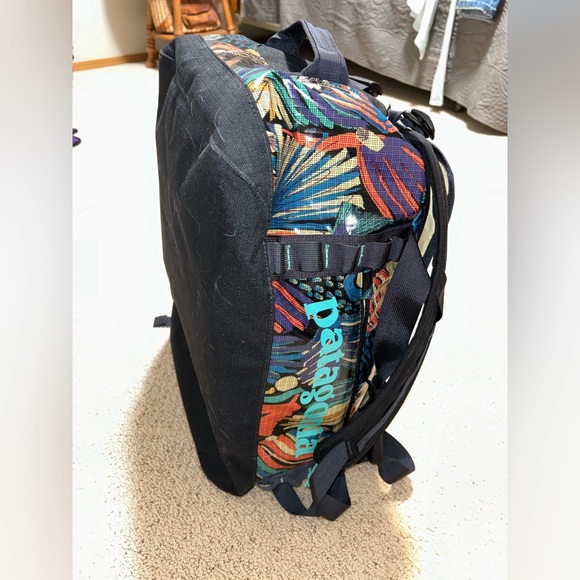 Patagonia Black Hole Duffle - Picture 2 of 6